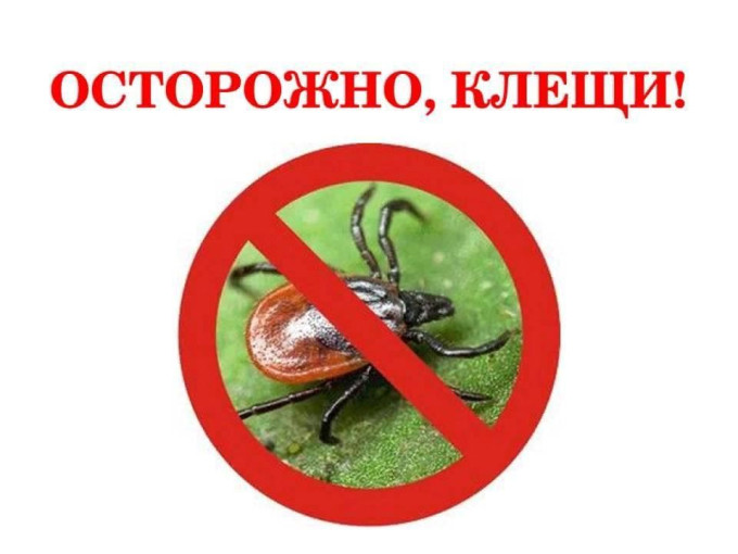 Осторожно, клещи! Осторожно, клещи!.